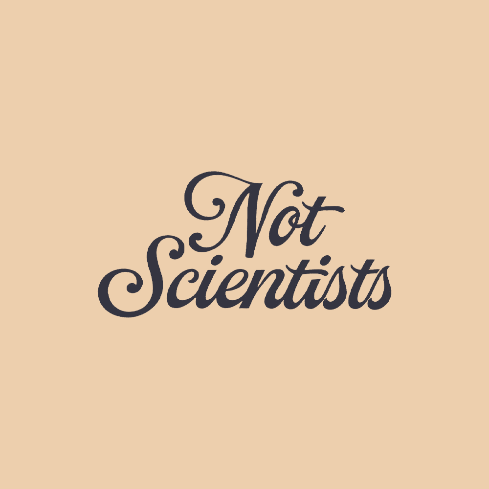 Merchandising designs for the band Not Scientists by Begizuria Design